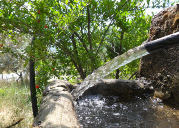 GÖLLER BÖLGESİ TURU 23 MAYIS-01 HAZİRAN 2015 (9 NCU GÜN SAİLER – BEYDAĞ – TİRE)