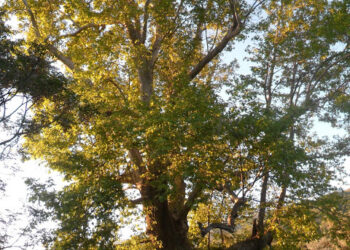 SUYUN KAYNAĞINA YOLCULUK 25-29 NİSAN 2016 ( 3 NCÜ GÜN BEYKÖY–BEYDAĞ- BEYDAĞ BARAJ GÖLÜ- YENİŞEHİR-KİRAZ- YEŞİLDERE-ÇATAK VADİSİ)