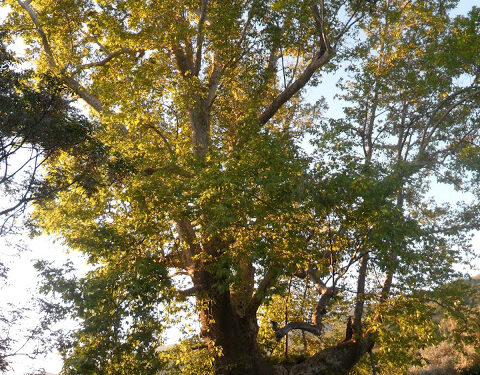 SUYUN KAYNAĞINA YOLCULUK 25-29 NİSAN 2016 ( 3 NCÜ GÜN BEYKÖY–BEYDAĞ- BEYDAĞ BARAJ GÖLÜ- YENİŞEHİR-KİRAZ- YEŞİLDERE-ÇATAK VADİSİ)