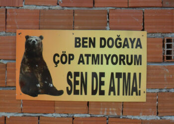 DOĞADA YAŞAM