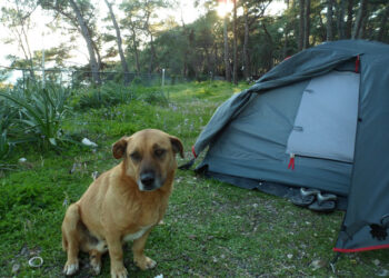 BAHARA MERHABA 15-19 MART 2020 (3 ve 4 ncü Gün Sultaniye Kaplıcaları-Köyceğiz Gölü-Gökova-Akyaka-Çetibeli-Marmaris-İçmeler-Hisarönü)