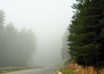 KARADENİZDEYİM 10-24 AĞUSTOS 2020 (8 nci Gün Kümbet Yaylası-Tamdere Yaylası-Eğribel Geçidi-Asarcık-Şebinkarahisar)