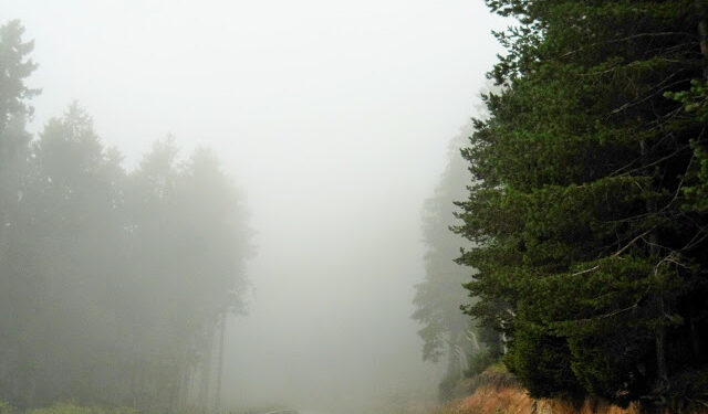 KARADENİZDEYİM 10-24 AĞUSTOS 2020 (8 nci Gün Kümbet Yaylası-Tamdere Yaylası-Eğribel Geçidi-Asarcık-Şebinkarahisar)