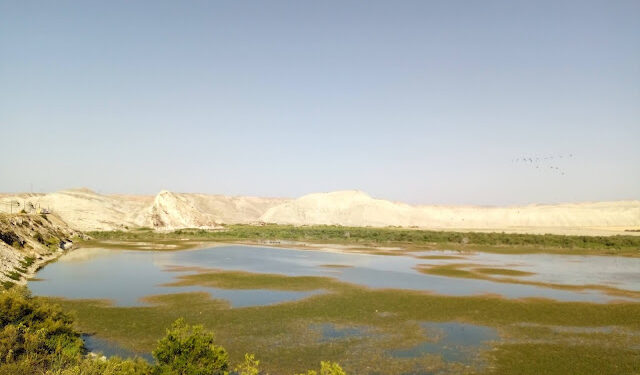 KÜRE DAĞLARINDAN SAKARYA VADİSİNE 05-14 TEMMUZ 2021  (8 nci Gün Sarıyar Baraj Gölü-Çayırhan-Nallıhan Kuş Cenneti-Nallıhan-Osmanköy)