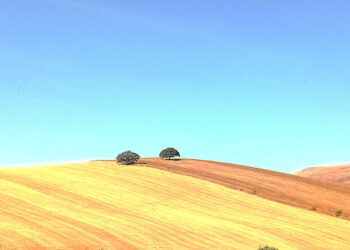 BOZKIRIN RUHU 01-15 AĞUSTOS 2025 (12.Gün İskilip-Kızılırmak-Bozkır)