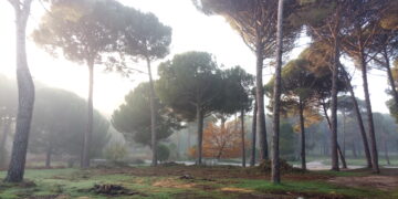 KUZEY EGE TURU 12-18 KASIM 2025 (4.Gün Kozak Yaylası-Bağyüzü-Yabancılar-Burhaniye-Ören)