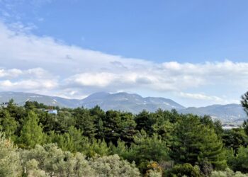 İZMİR’İN KÖYLERİ (Oğlananası-Belenbaşı-Kaynaklar)